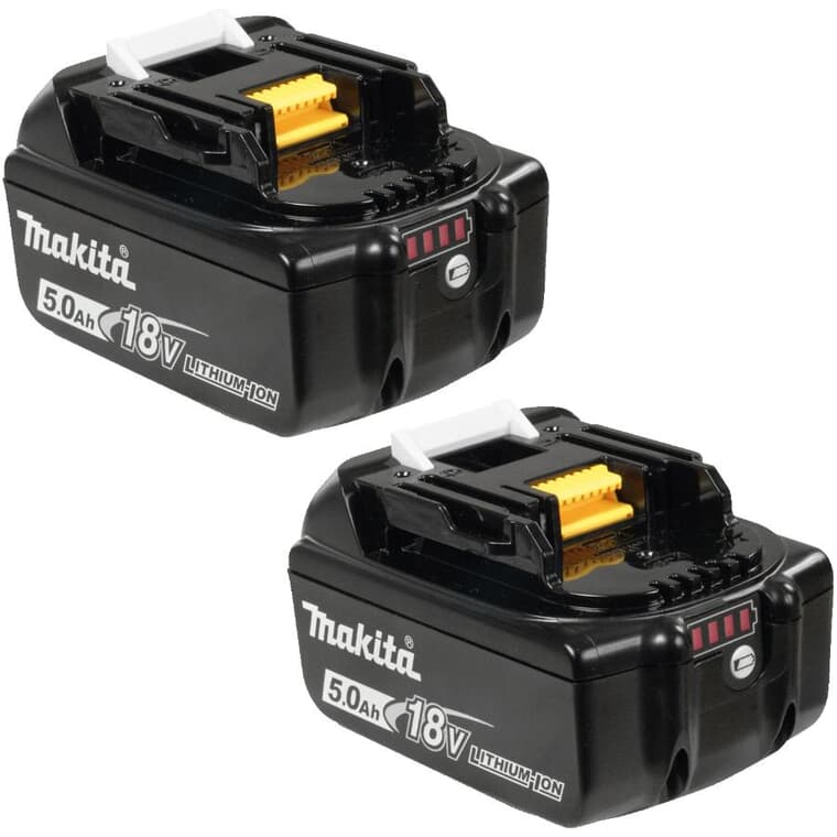 18V Lithium-Ion 5.0 Ah Battery - 2 Pack