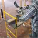 Photo thumbnail