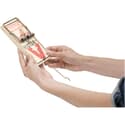 Photo thumbnail