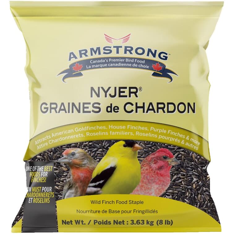 Graines de Niger Festin Certain pour oiseaux, 3,6 kg