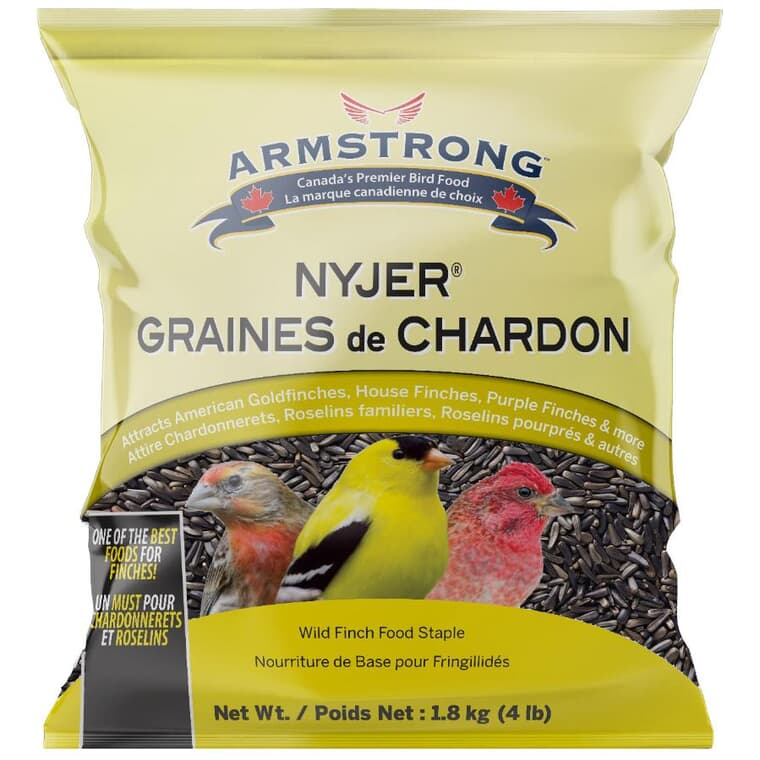 Graines de Niger Festin Certain pour oiseaux, 1,8 kg