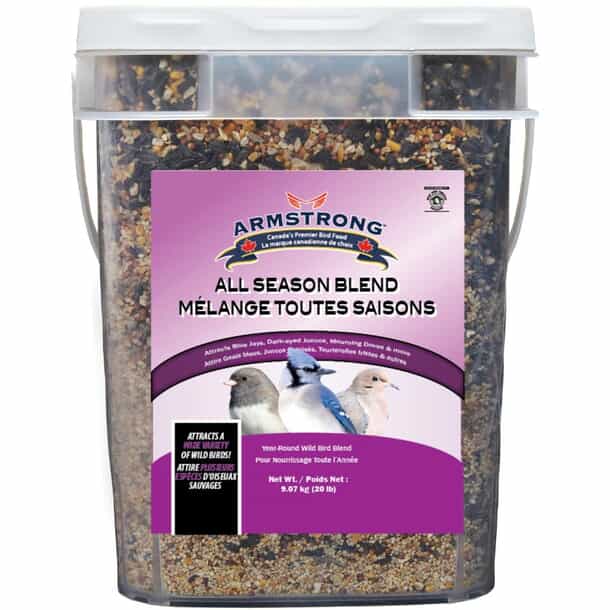 Which Bird Seed to Buy: Top Picks for Happy, Healthy Birds