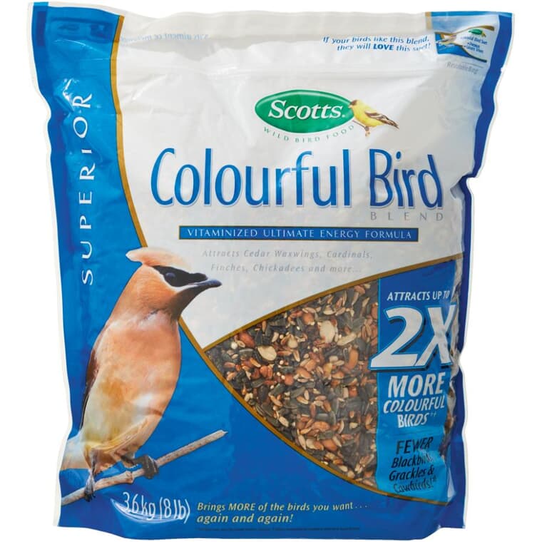 Mélange de graines pour oiseaux colorés, 3,6 kg