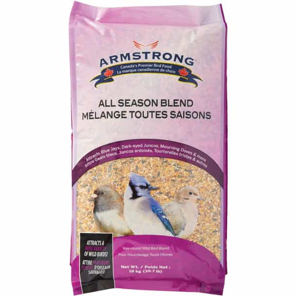 What is Bird Seed: Ultimate Guide to Choosing the Best Mix