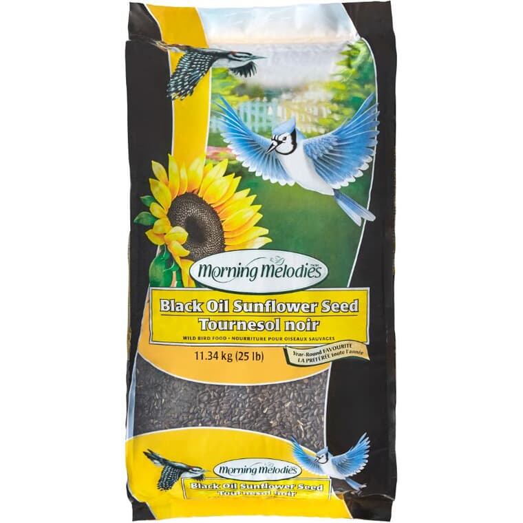 Graines de tournesol noires pour oiseaux, 11,34 kg