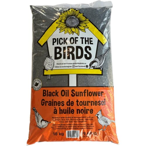 Graines de tournesol noir Armstrong 16 kg pour oiseaux sauvages