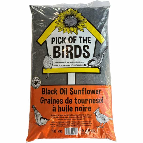 Who Has Bird Seed on Sale: Best Deals You Can’t Miss!