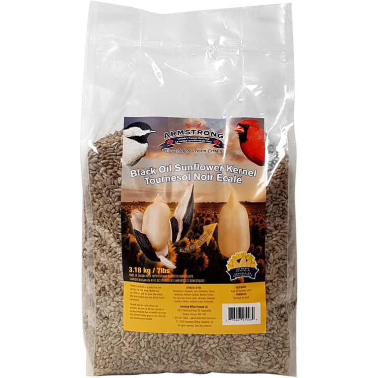 Graines de tournesol noires pour oiseaux, 3,18 kg