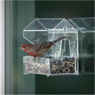 Metal Window Bird Feeder: Attract Birds with Stylish Durability