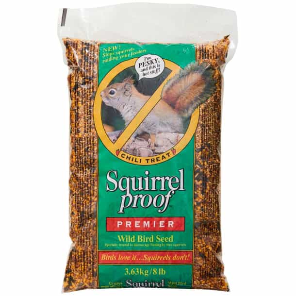How to Make Spicy Bird Seed Squirrel Proof: Easy & Effective Tips