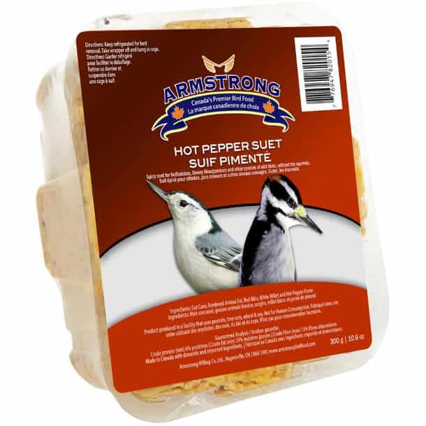 What is in Bird Suet