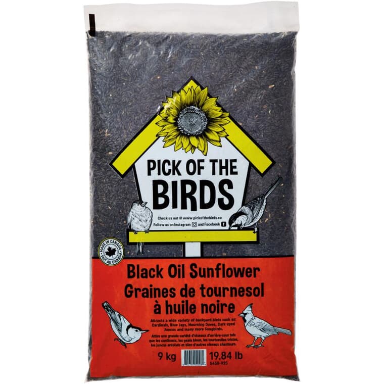 Graines de tournesol noires pour oiseaux, 9 kg