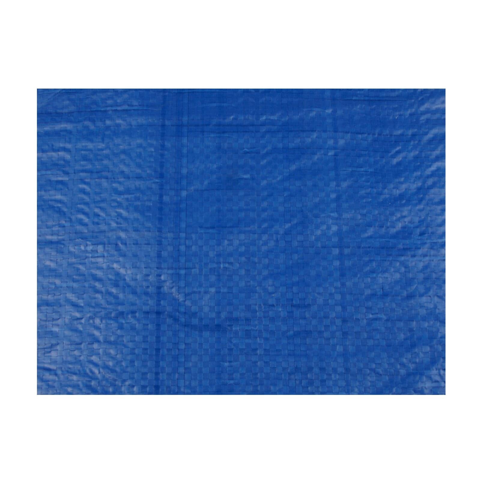 Tarpco Safety 10' x 12' Blue Extra Heavy-Duty Weatherproof 10 Mil Poly