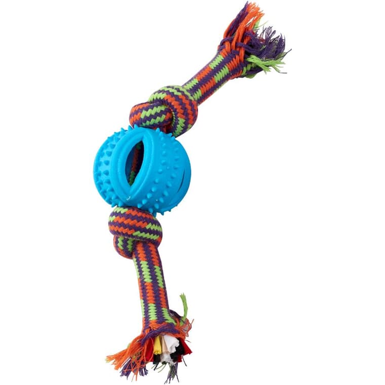 Jouet corde à tirer de 8 po x 2,5 po avec nœuds pour chien, couleurs variées