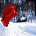 Photo thumbnail