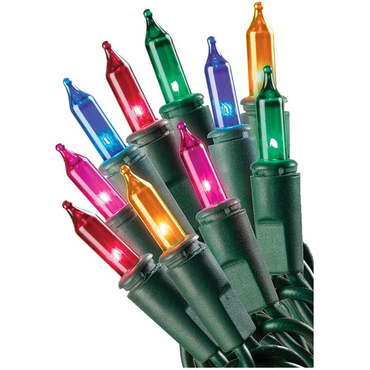 Jeu de mini lumière incandescente sur fil vert, multicolore, 50 lumières