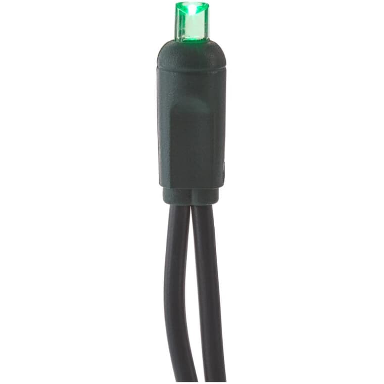 Conical 5 mm Light Set with Green Wire - Green, 50 LEDs