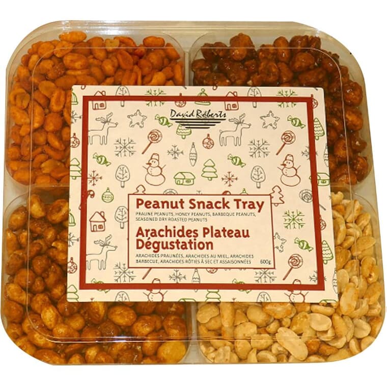 Assorted Peanut 4 Pocket Snack Tray - 600 g