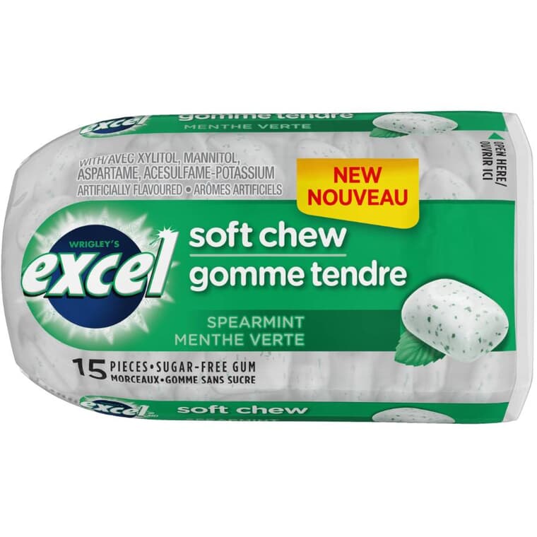 Soft Chew Spearmint Gum - 15 Pieces