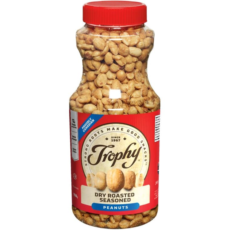 Dry Roasted Peanuts - Seasoned, 700 g