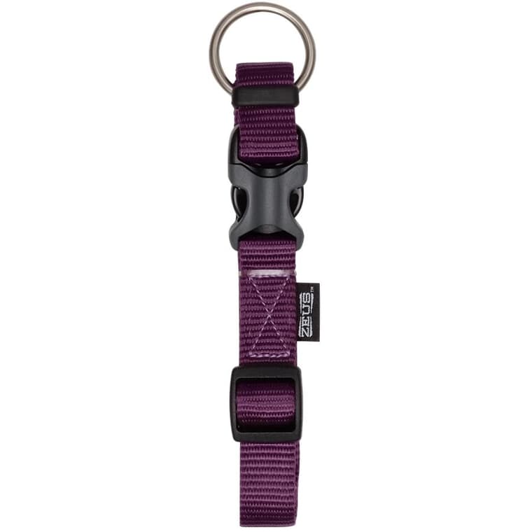 Adjustable Nylon Dog Collar - Royal Purple, Large