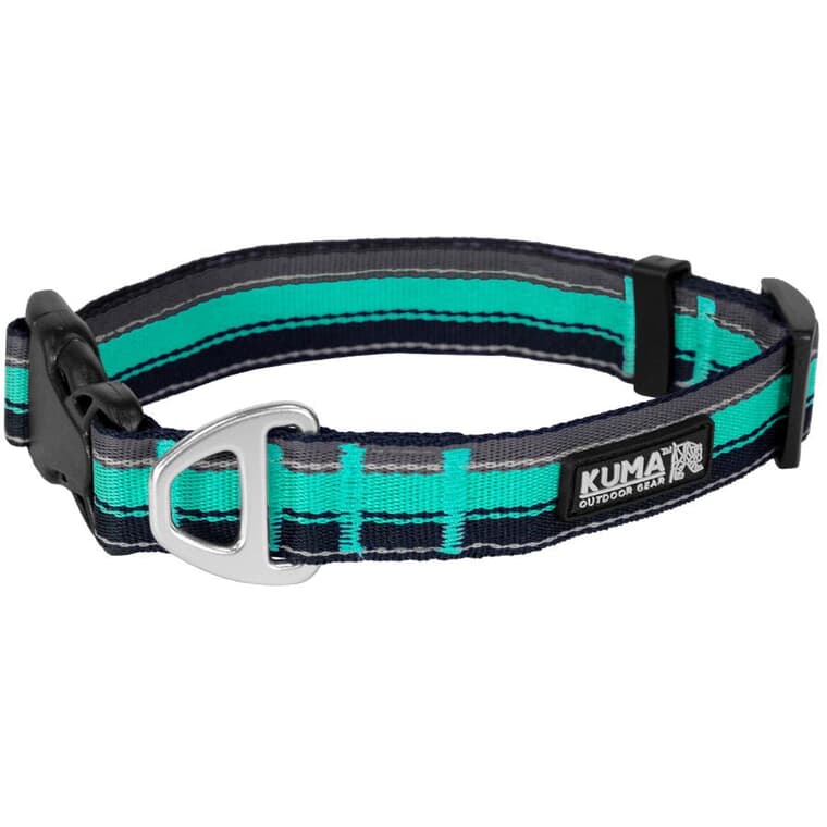 Backtrack Dog Collar - Navy and Mint, Large