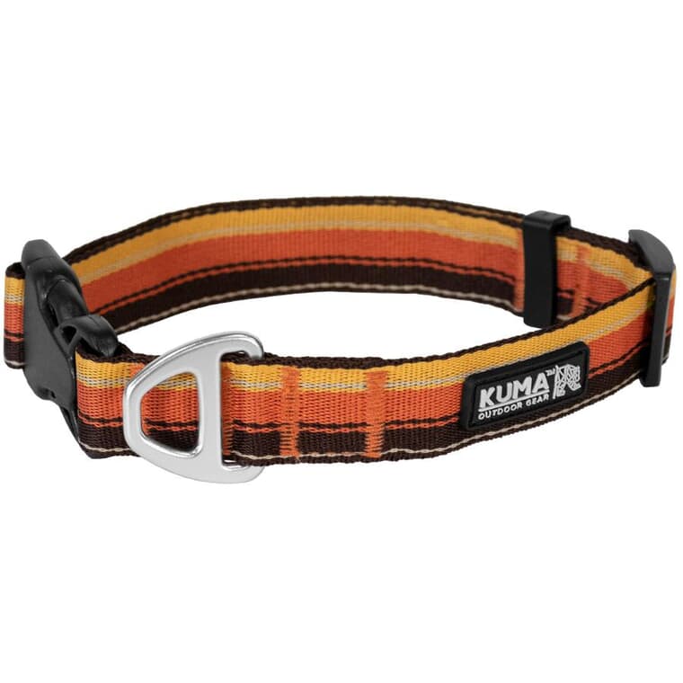 Backtrack Dog Collar - Orange and Brown, Large