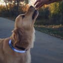 Photo thumbnail