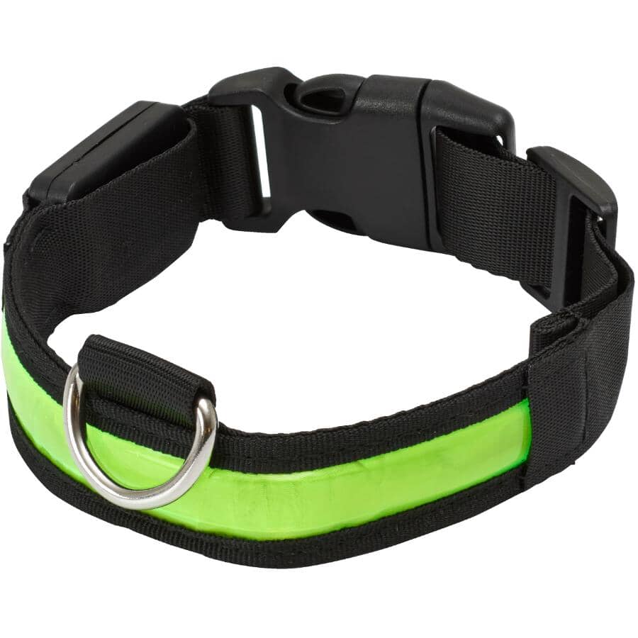 ACTIVE:LED Dog Safety Collar - Yellow, Small / Medium