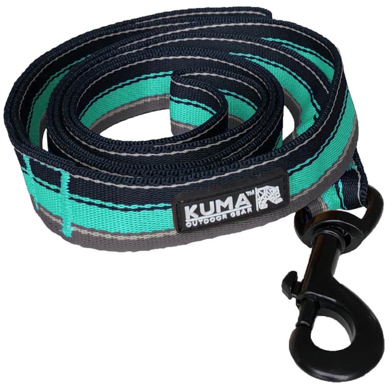 5' Backtrack Dog Leash - Navy and Mint