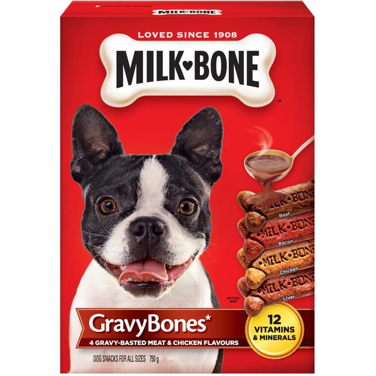 Friandises pour chien Gravy Bones, 750 g