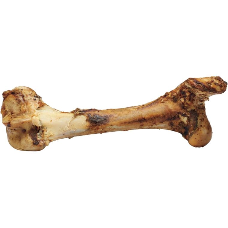 Dino Dog Bone - 15" - 18"
