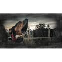 Photo thumbnail