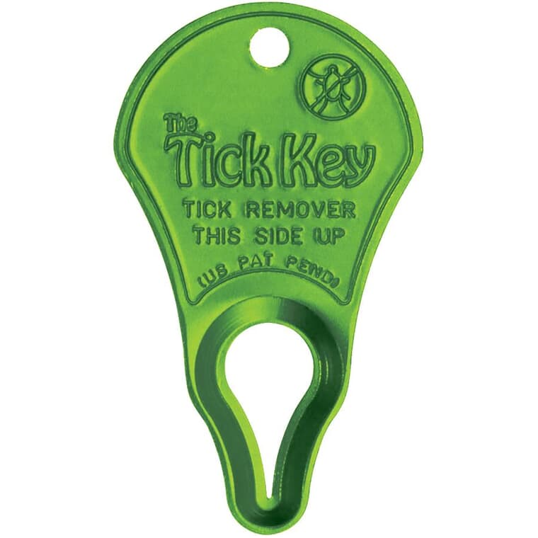 Tick Removal Key - for Pets & Humans, Assorted Colours
