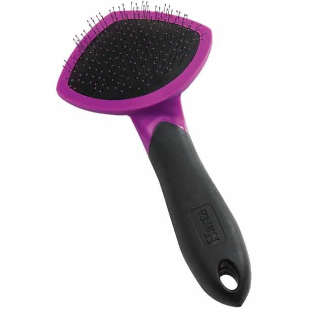 What is the Best Grooming Brush for Cats: Top Picks for Shiny Fur