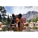 Photo thumbnail
