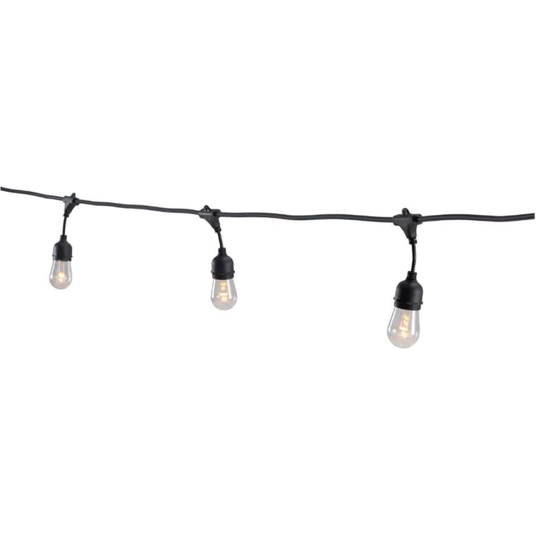 S14 Drop Socket Light Set with Black Wire - Warm White, 12 Lights