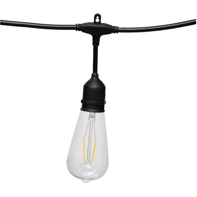 LED Warm White Jumbo Edison Light Set - 12 Lights + Black Wire