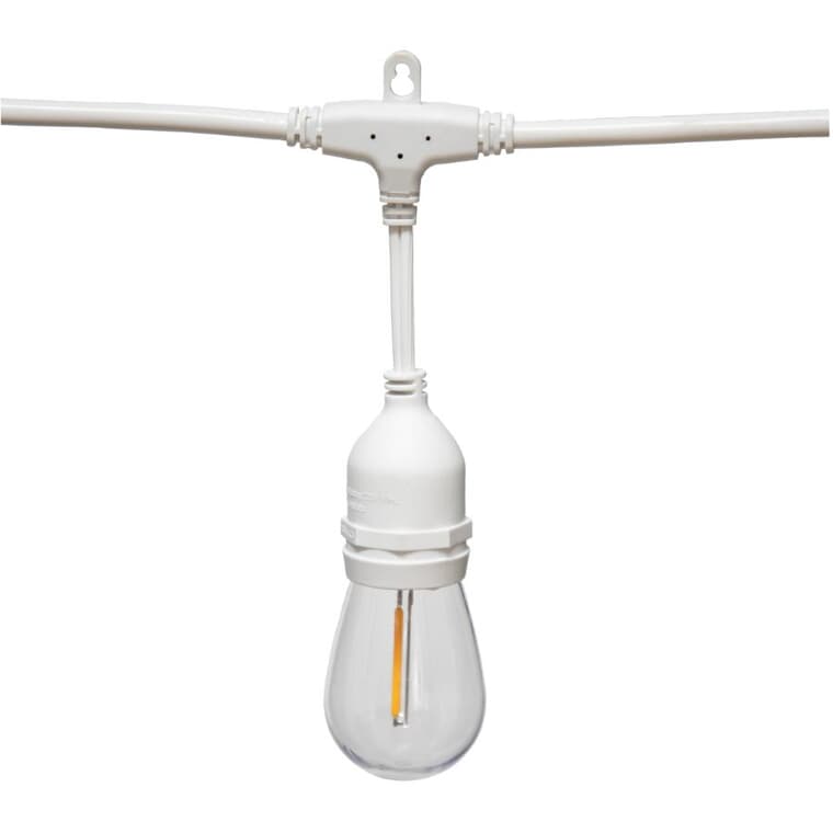 S14 Warm White Edison Light Set - 12 Lights