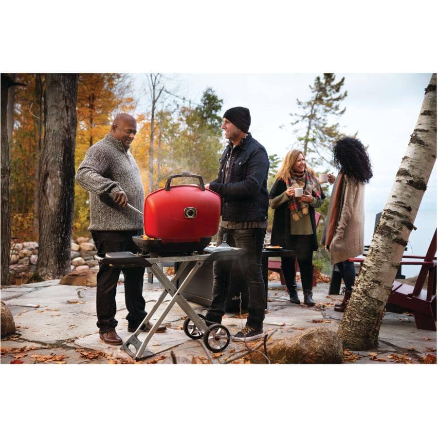BBQ TravelQ 285X au propane avec chariot pliable et plaque de cuisson, 12 000 BTU