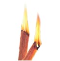 Photo thumbnail