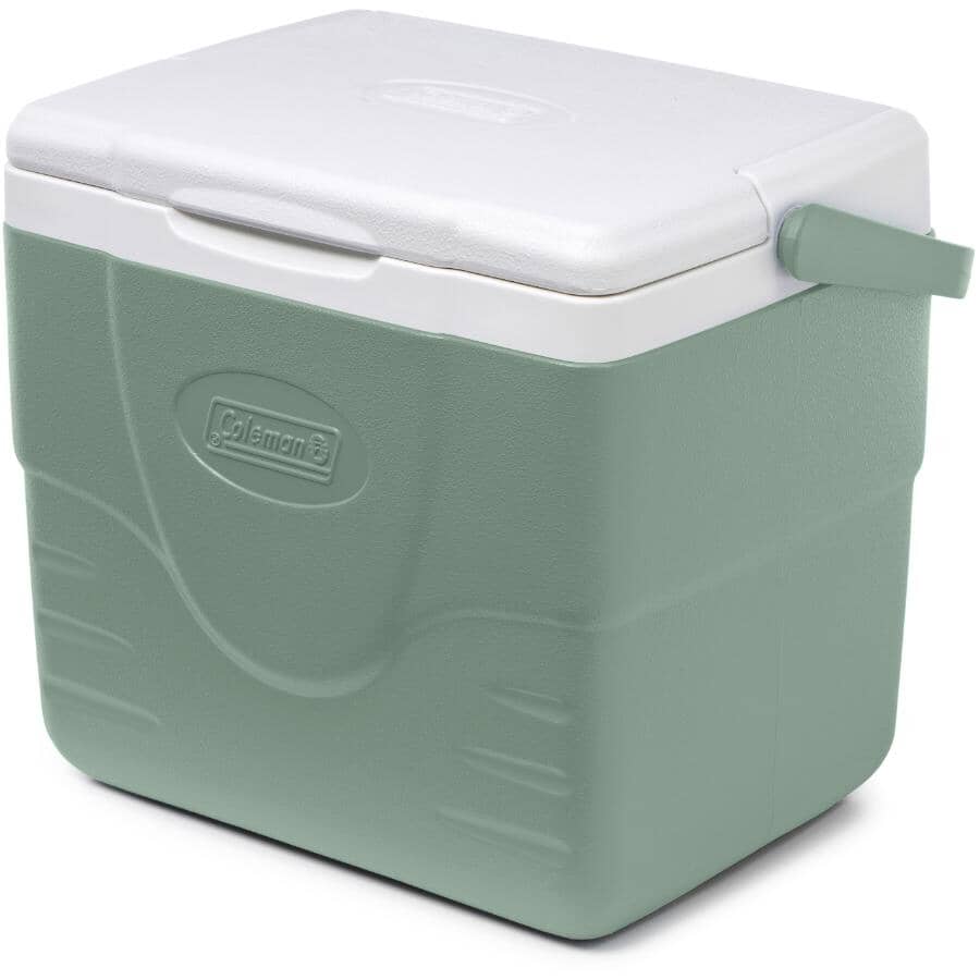 COLEMAN Chiller 9 Qt Cooler | Home Hardware