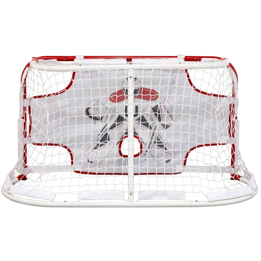 What is AAA Youth Hockey? In-Depth Guide To Shape Champion