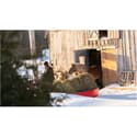 Photo thumbnail