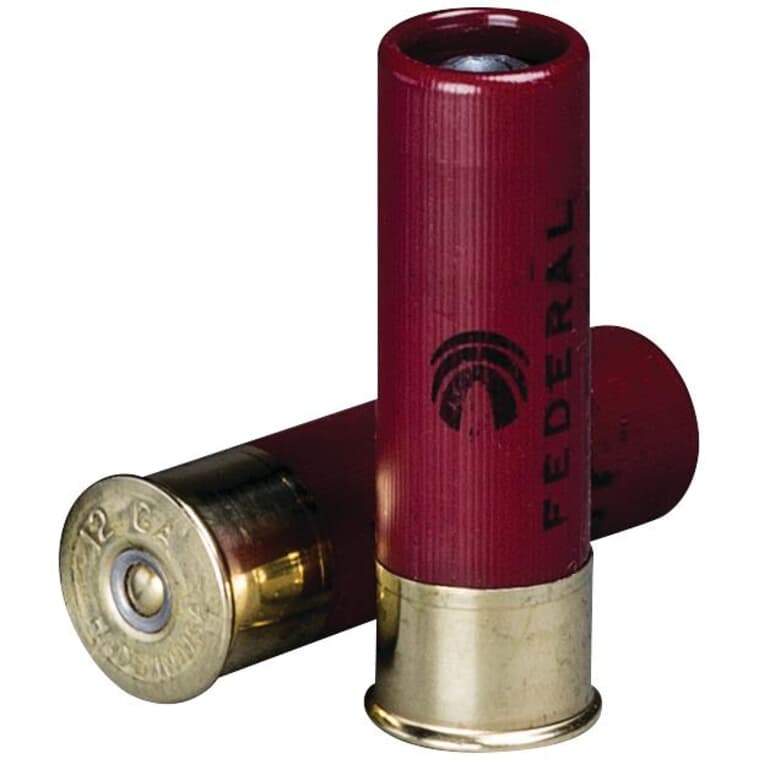 Paquet de 5 balles Power-Shok Rifled Slug de calibre 12, 3 po