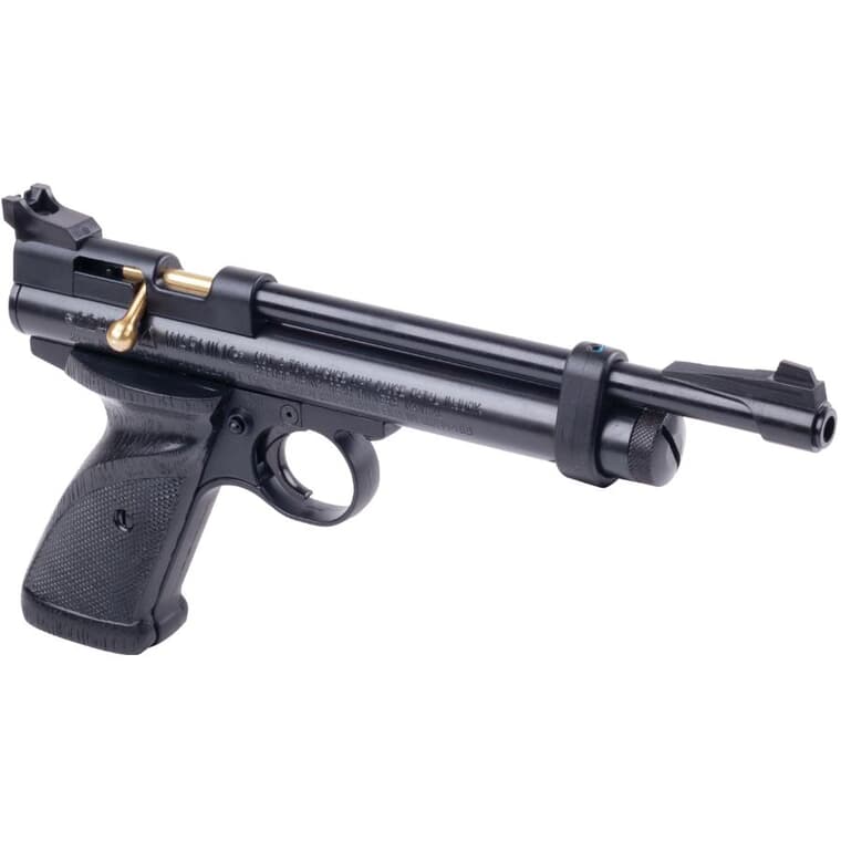 Pistolet à air comprimé Co2 à un coup de calibre .22