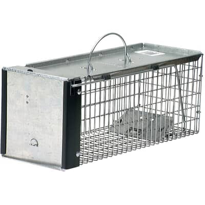 Piege Pour Animal Vivant 17 Po X 6 Po X 6 Po Havahart Home Hardware Piege Pour Animal Vivant 17 Po X 6 Po X 6 Po Havahart Home Hardware