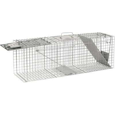 Piege A 2 Portes Pour Animal 36 Pox10 Pox12 Po Havahart Home Hardware Piege A 2 Portes Pour Animal 36 Pox10 Pox12 Po Havahart Home Hardware