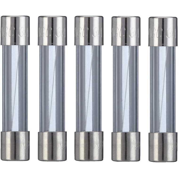 Fact Acting AGC 3 Amp Glass Fuses - 5 Pack