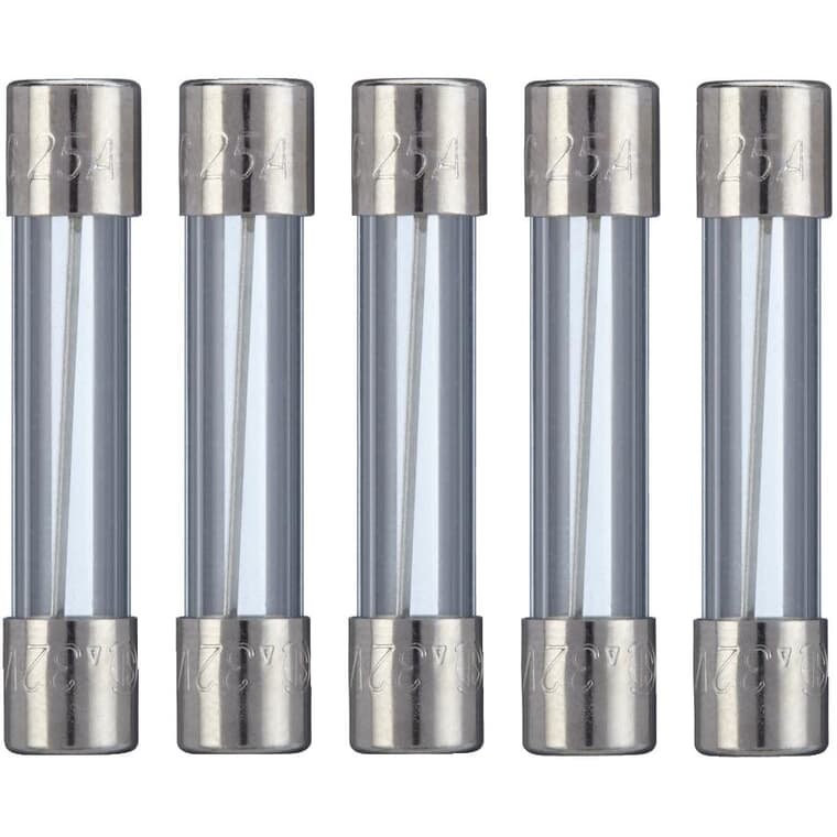 Fact Acting AGC 25 Amp Glass Fuses - 5 Pack